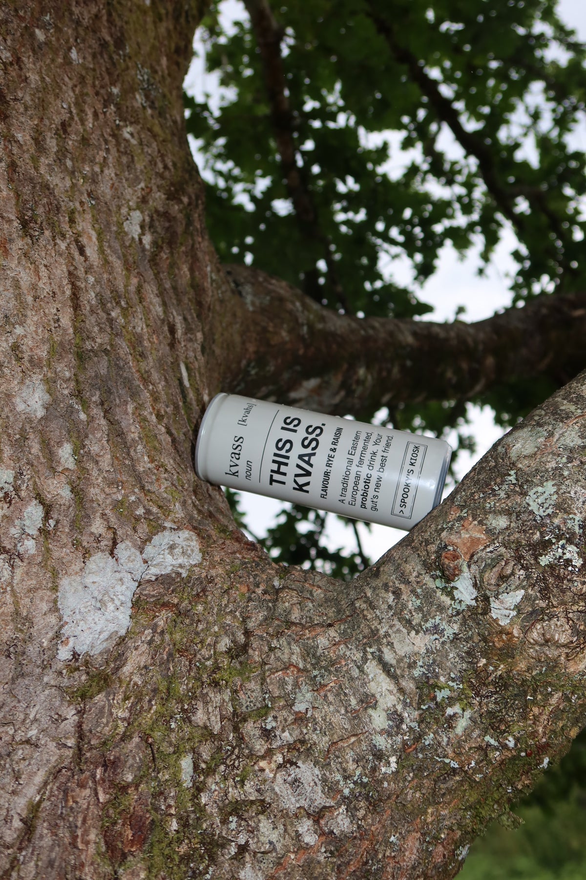 12 x 250ml Rye & Raisin Kvass