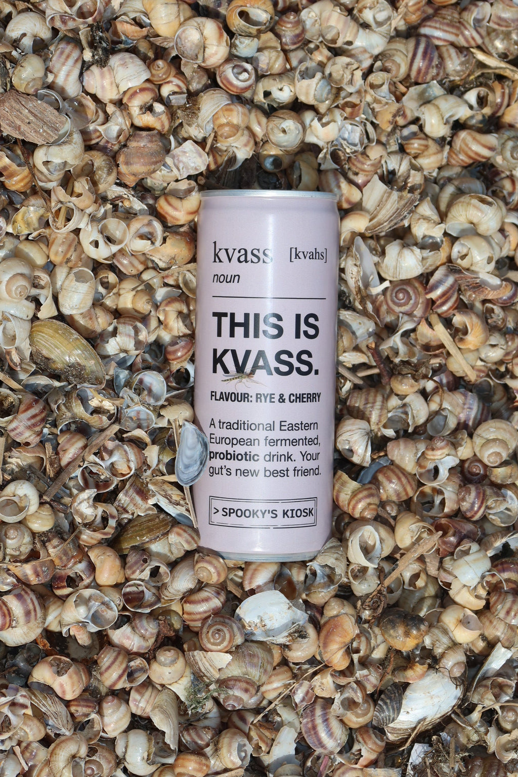 A cylindrical cosmetic tube labeled 'THIS IS KVASS.' and 'kyass: coast' lies horizontally on a dense bed of small brown and beige snail shells.