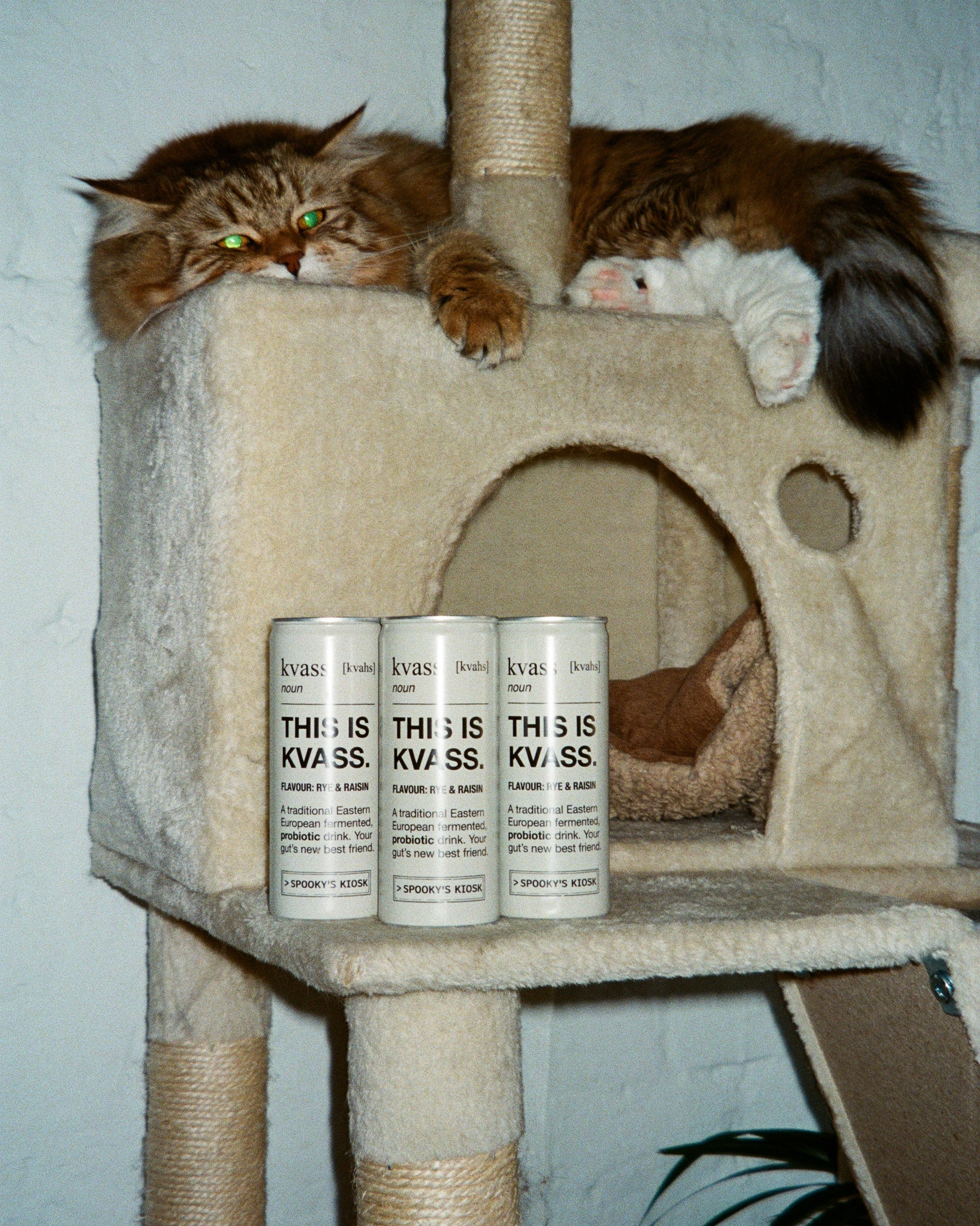 A brown tabby cat lies on a beige carpeted cat tree with sisal-wrapped scratching posts and three white cylindrical kvass cans are on view
