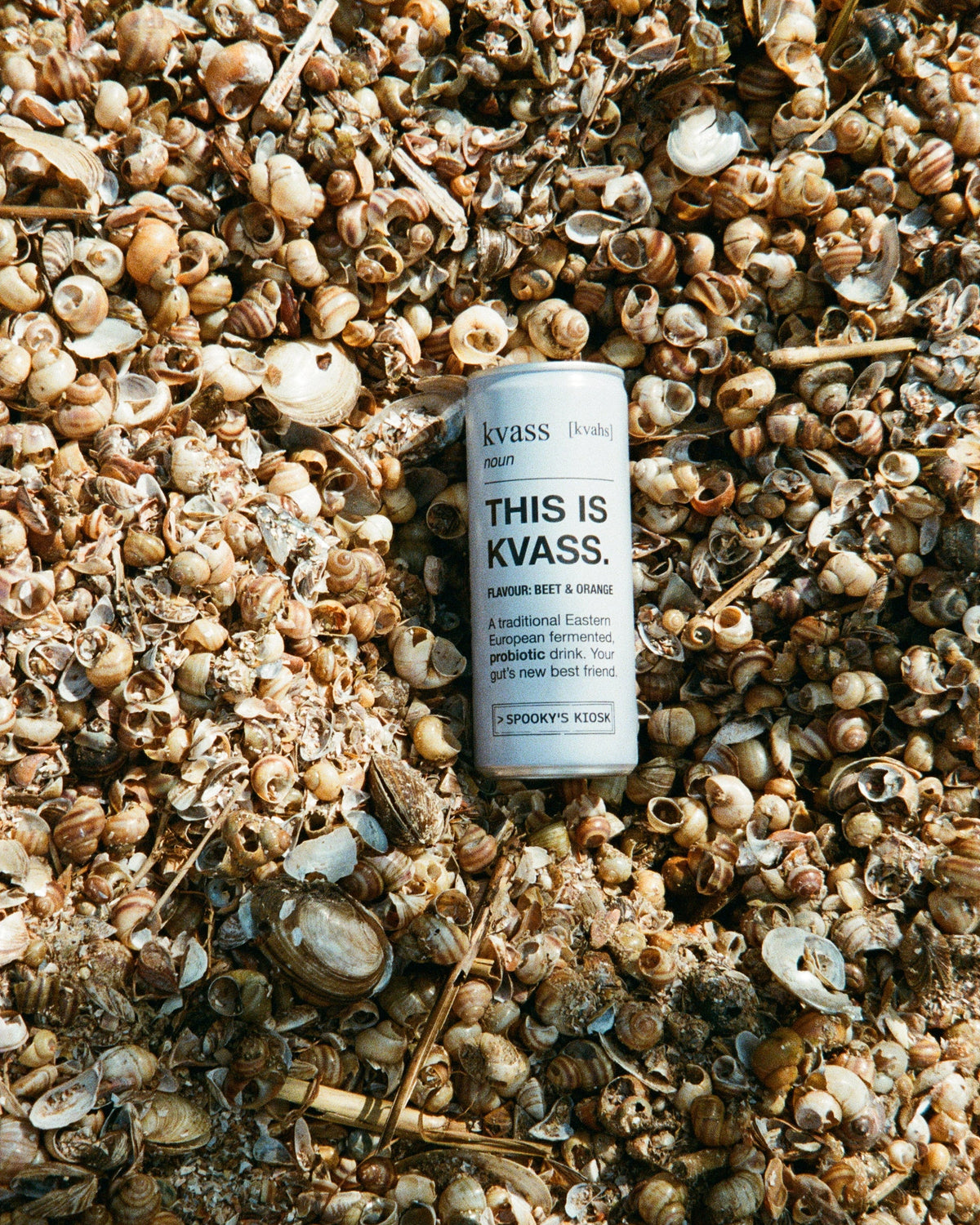 a blue can labeled 'THIS IS KVASS.' lies on top of a dense pile of small brown seashells and dried natural debris.