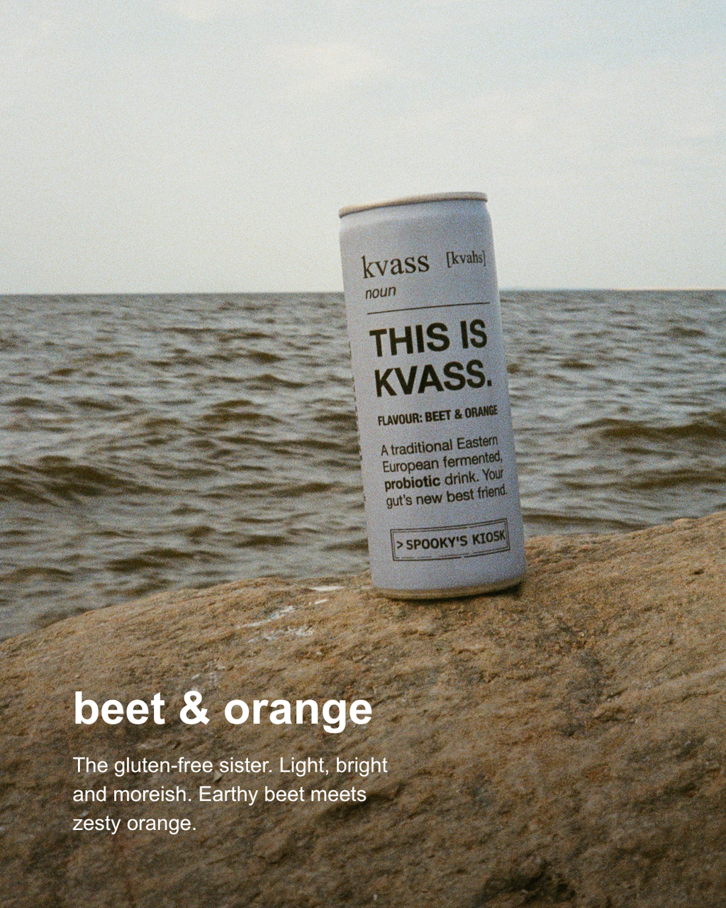 A single can of kvass beverage standing upright on a rocky shoreline with water and a pale sky behind it. The can is white with black text reading 'THIS IS KVASS' and 'BEET & ORANGE' appears in white text at the lower left of the image.