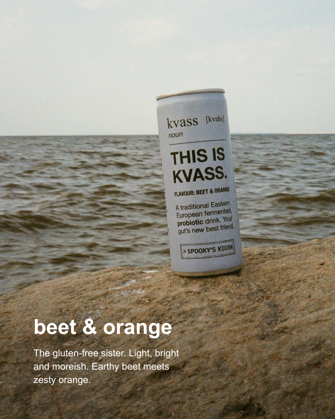 A single can of kvass beverage standing upright on a rocky shoreline with water and a pale sky behind it. The can is white with black text reading 'THIS IS KVASS' and 'BEET & ORANGE' appears in white text at the lower left of the image.