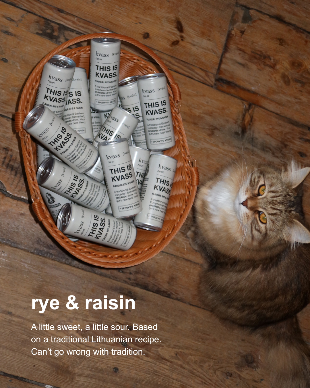 A group of silver and white cans of 'This Is Kvass' arranged in a brown woven basket on a rustic wooden floor, with a fluffy brown tabby cat lying next to it. Text at the bottom reads 'rye & raisin'.